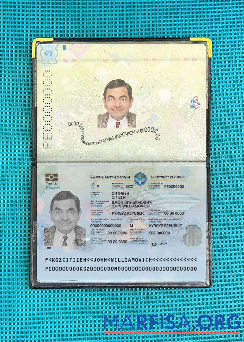 Printable Kyrgyzstan passport 2021 present photolook sample